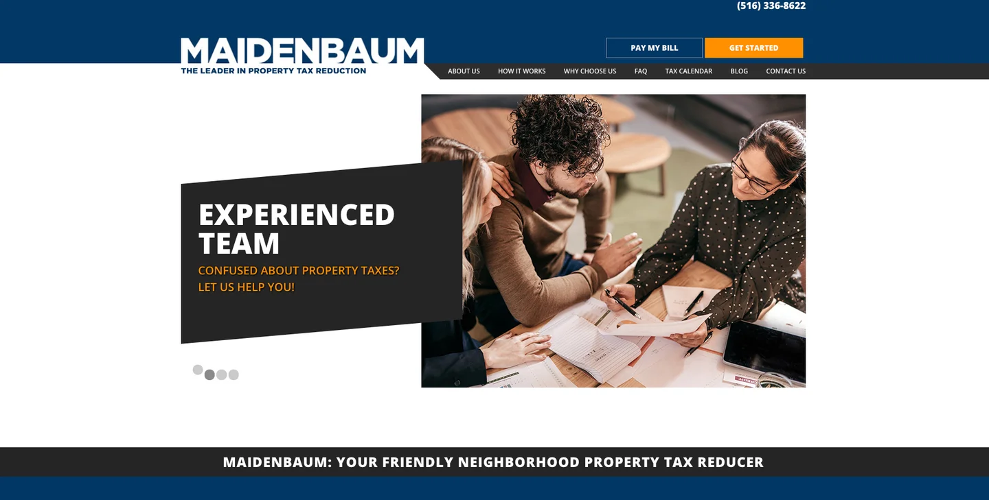 Maidenbaum website design