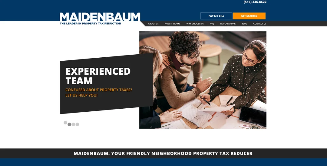 Maidenbaum project preview