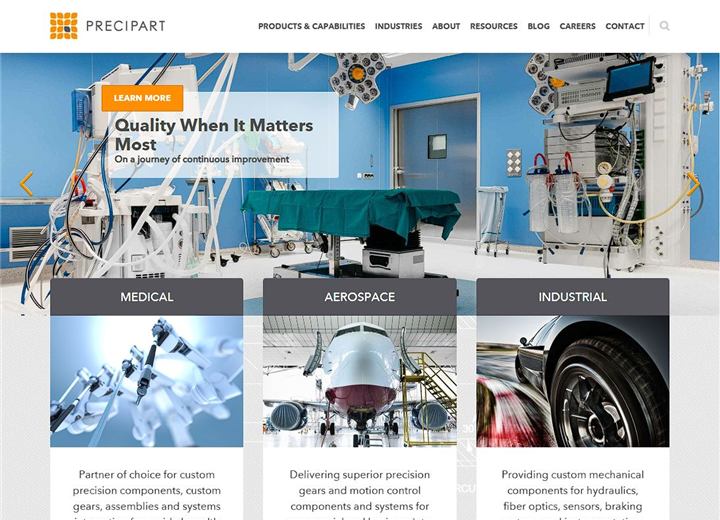 Archived portfolio visual for Precipart